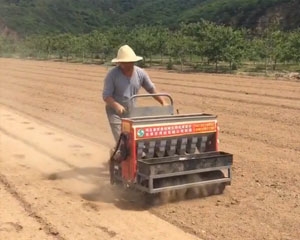 山地北柴胡播种机